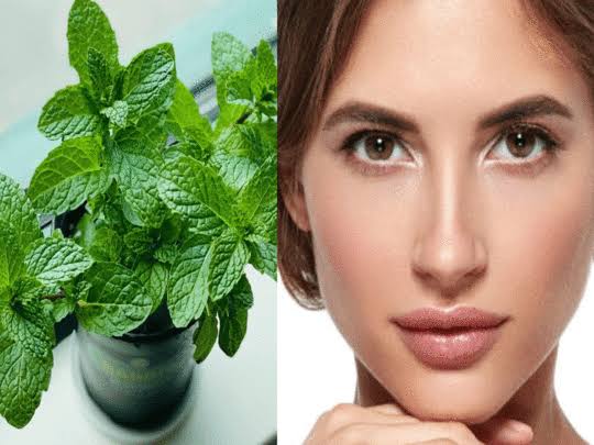 जानिए- गर्मियों के लिए सबसे अच्छा फेस वॉश कौन सा है ? 6 गर्मियों के लिए मिंट फेश वॉश