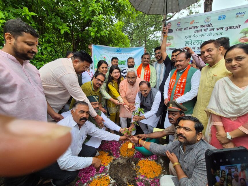 हरिद्वार वन प्रभाग की हरिद्वार रेंज में 100 पौंधों का रोपण किया गया 1
