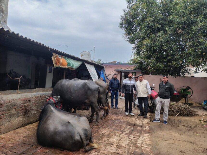 ग्रामोत्थान (रीप) परियोजना ने ‘माही स्वयं सहायता समूह’ को बनाया सफल डेयरी उद्यमी: दूध उत्पादन से खुली समृद्धि की राह 1